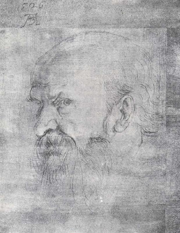 Albrecht Durer The Head of St.Paul China oil painting art